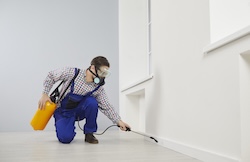 Rocklin pest control accounting